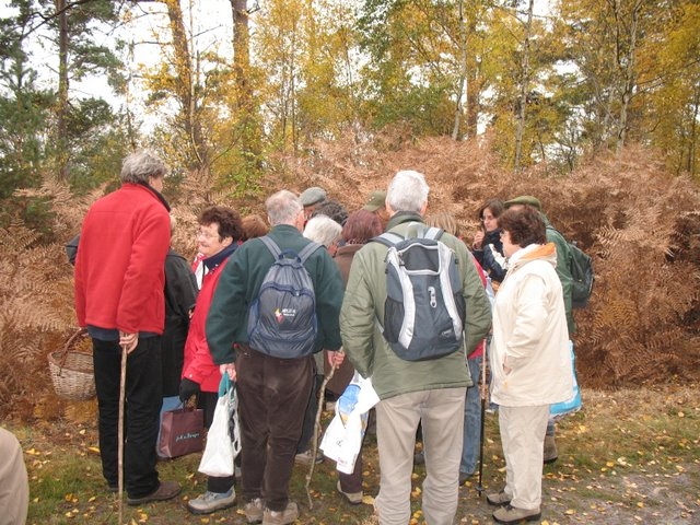 2007 11 Myco poteau des Quenouilles 02
